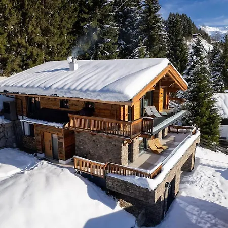 Stunning Contemporary Austrian Chalet Superb Views Pressbaum